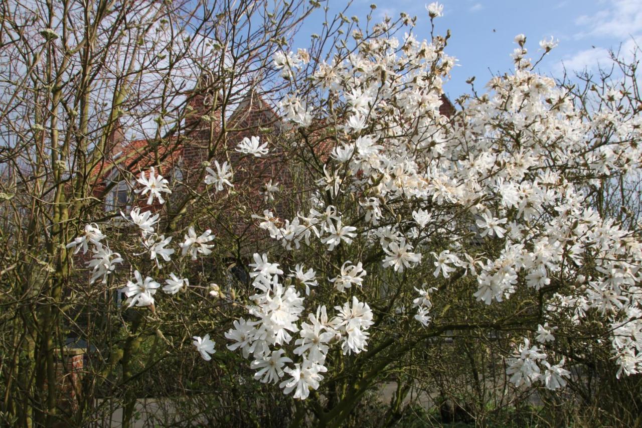 Monts Et Merveilles Godewaersvelde 외부 사진